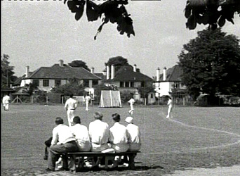 Cricketfield1